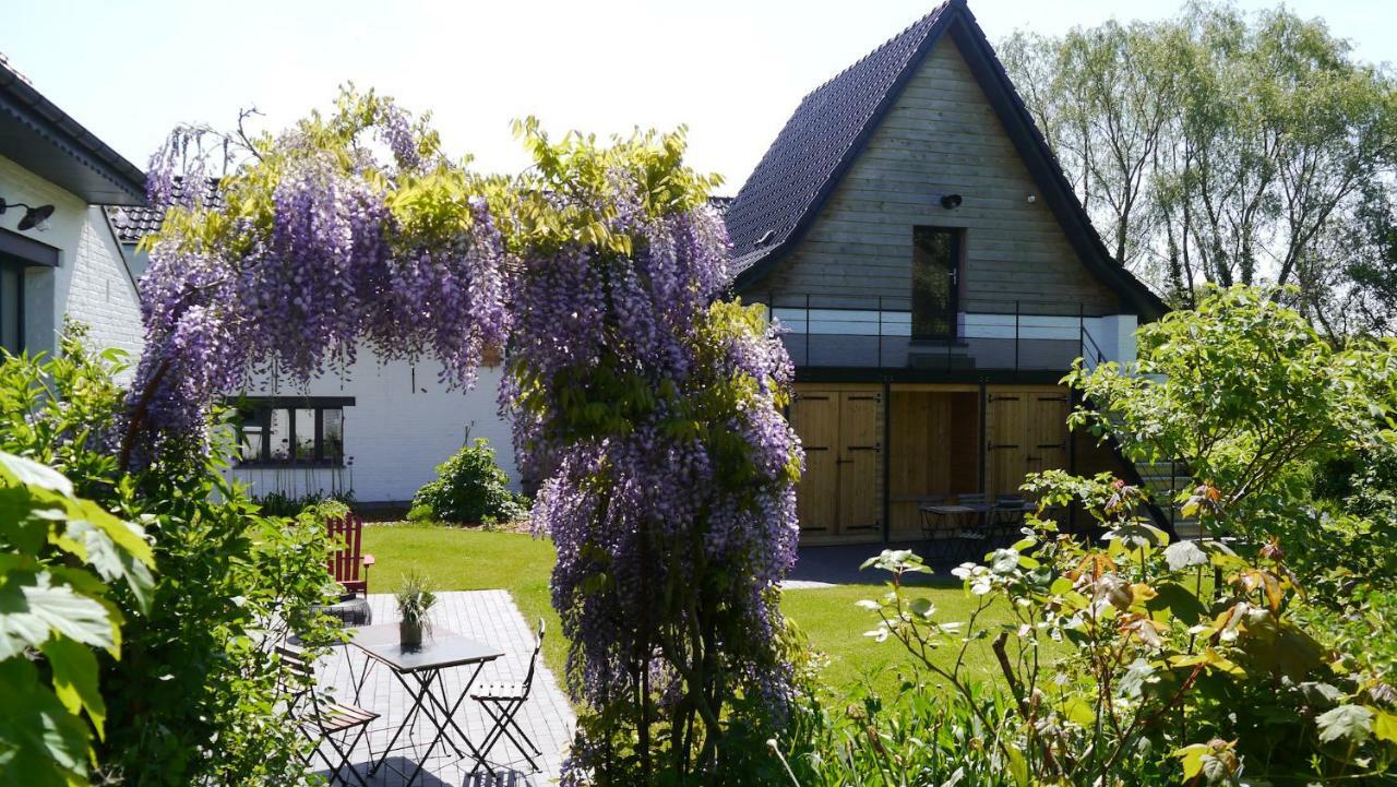 We Maison D'Hotes Cassel Kültér fotó